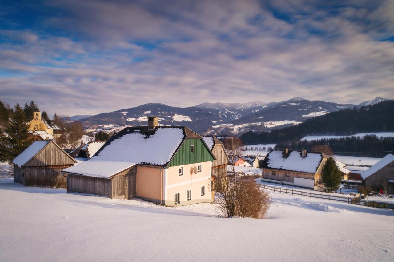 Ferienhaus Schwoellerbauer Sankt Martin am Grimming Ngoại thất bức ảnh